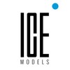 Ice Model Management